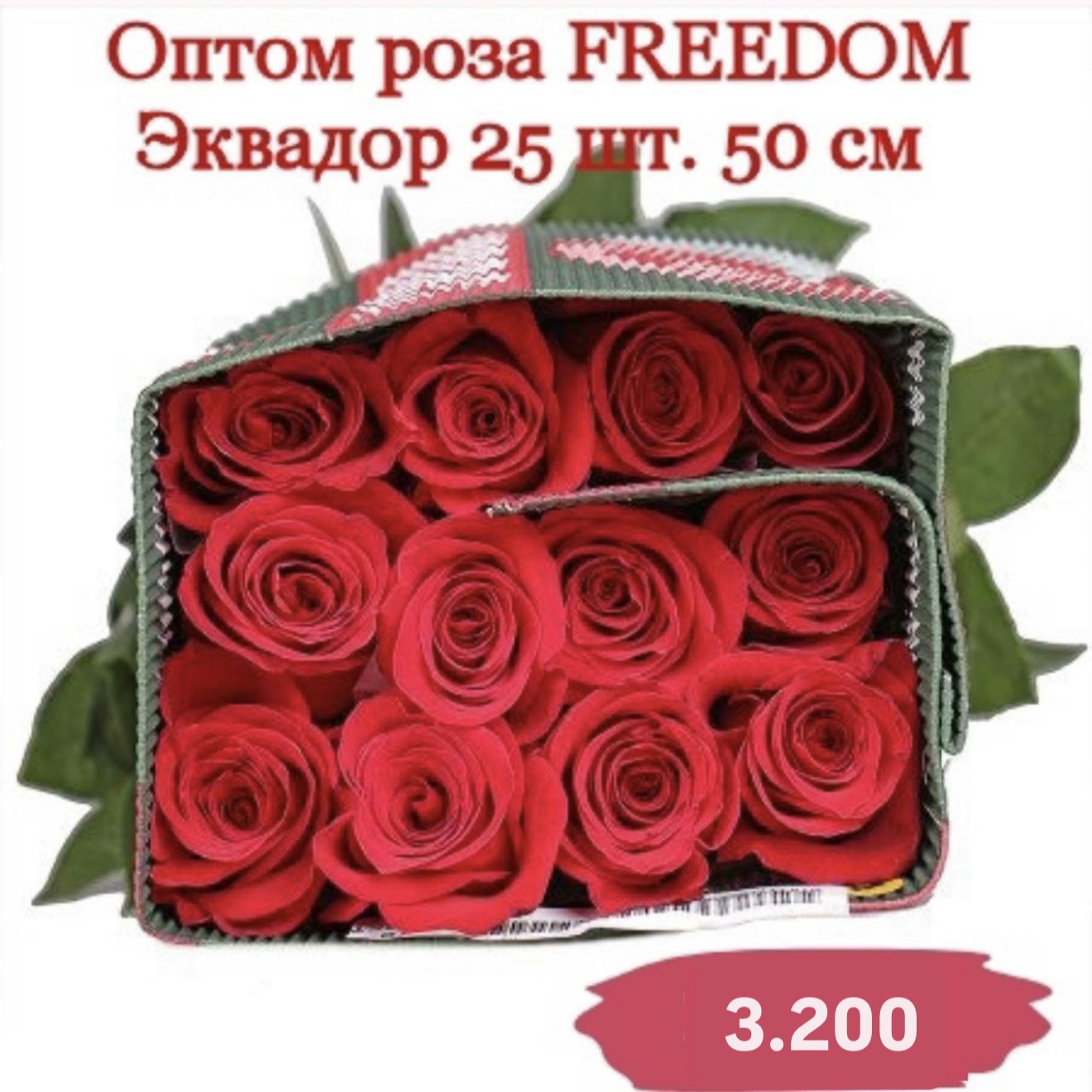 25 роз оптом с оптовой базы в банче 