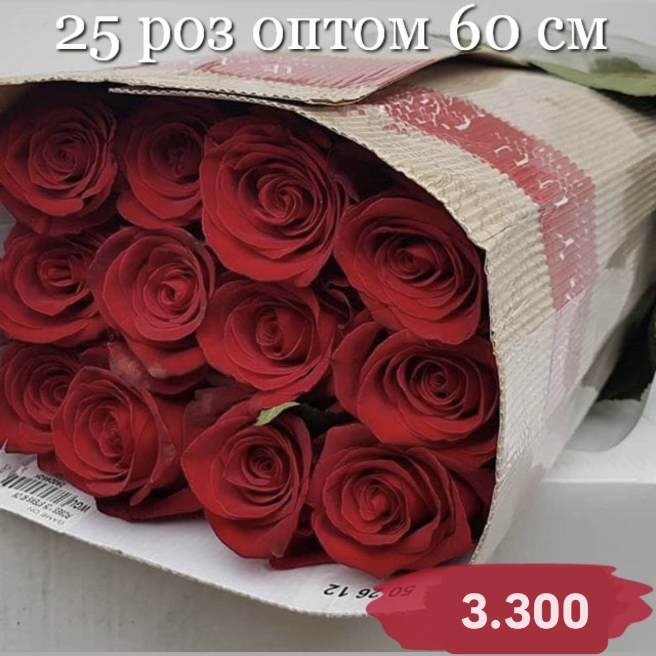 25 красных роз Эквадор оптом в СПб