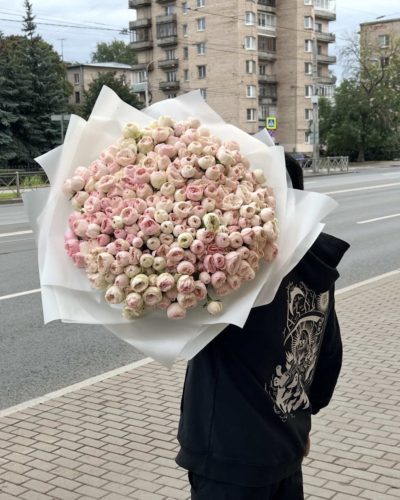 Купить пионовидную розу 101 мэнсфилд парк