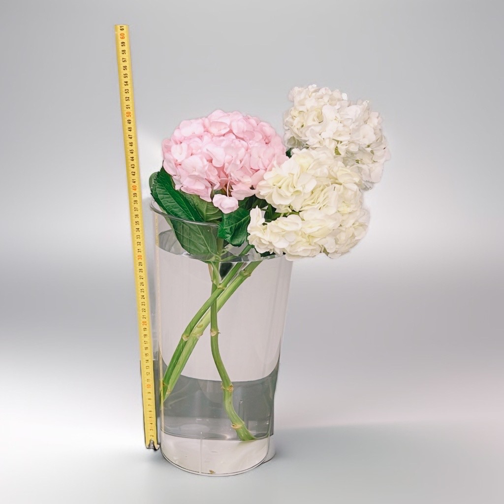 Уход за гортензиями: правильный уровень воды