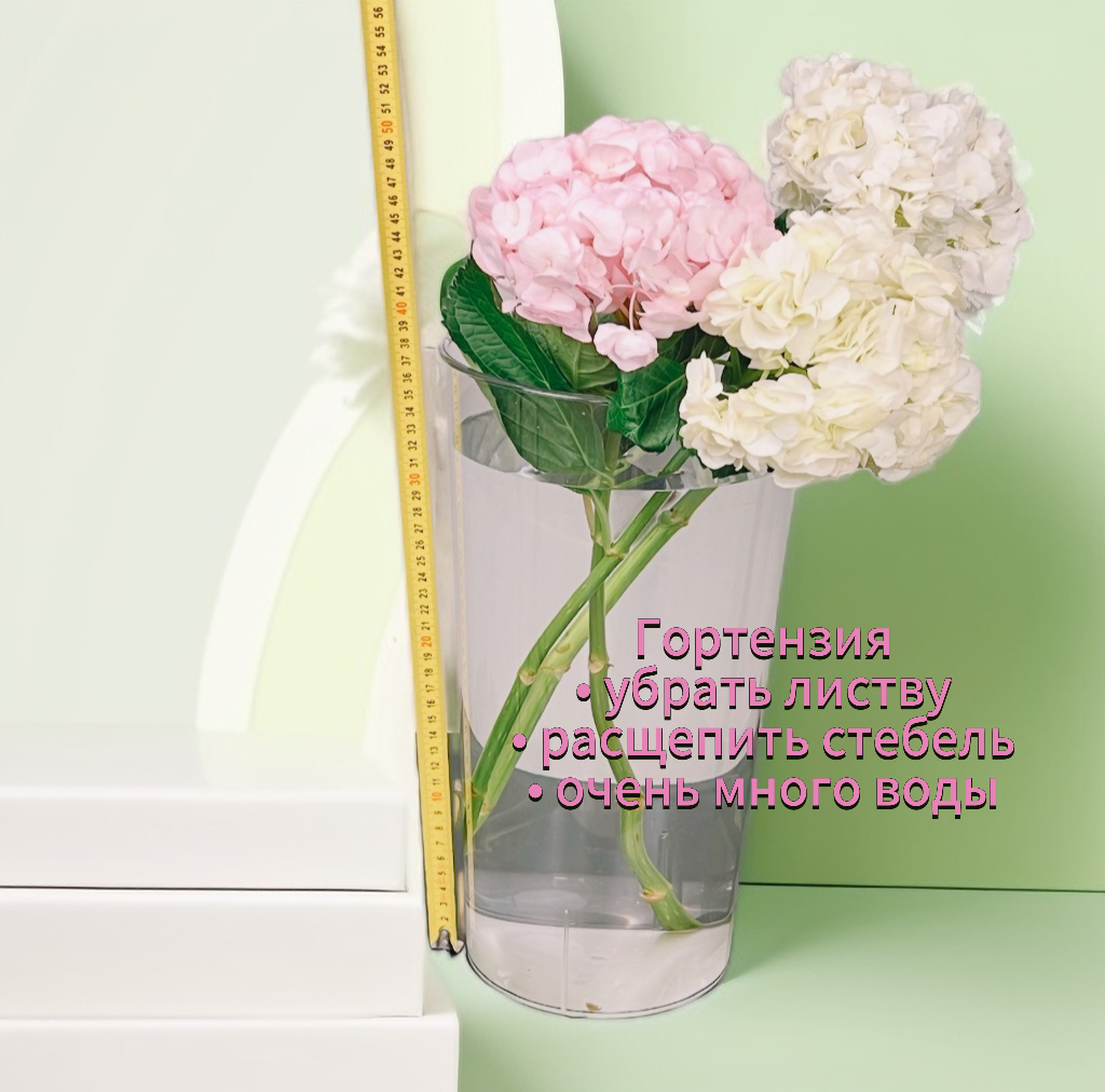 Уход за букетом: правильный уровень воды