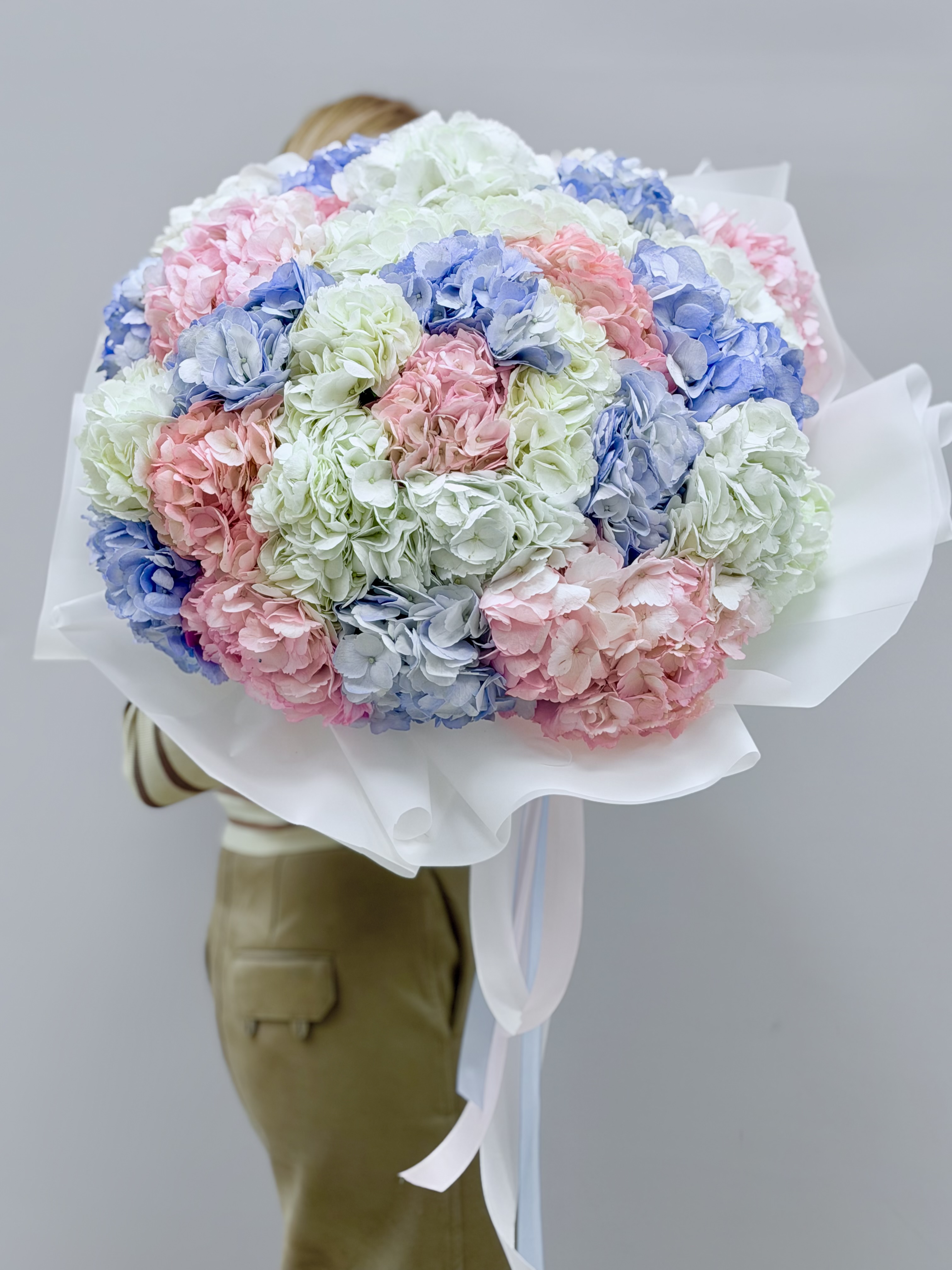 Гортензии в упаковке