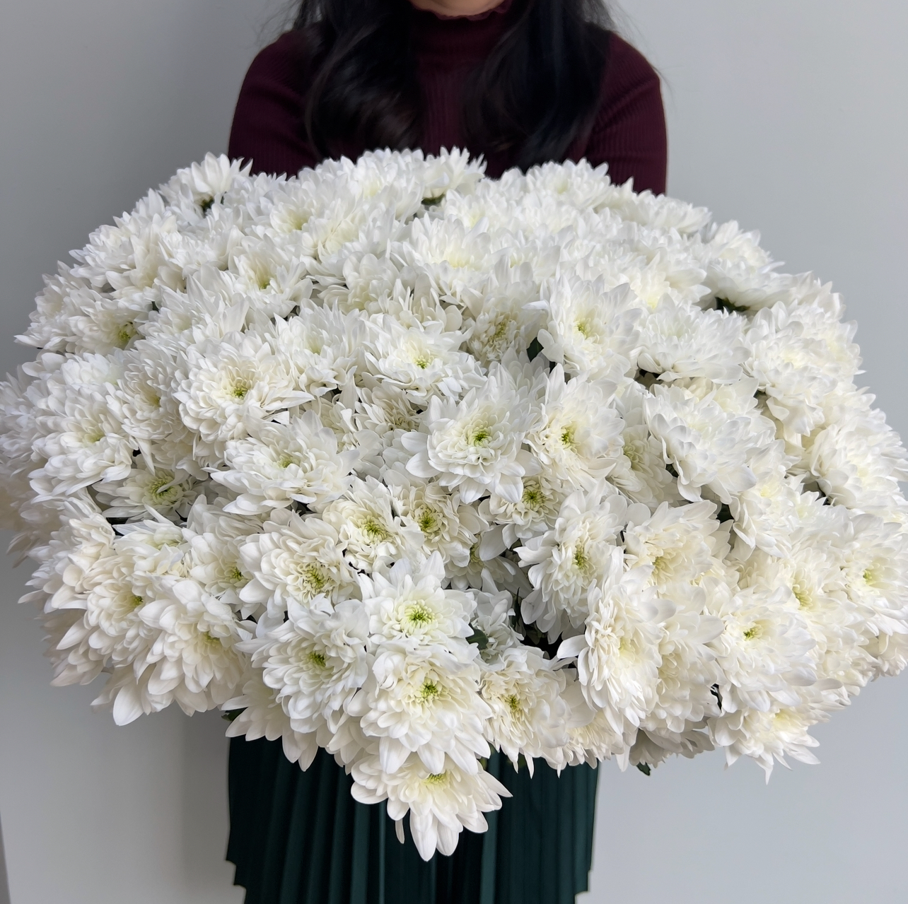 Хризантемы Балтика 25 штук СПб - основной вид