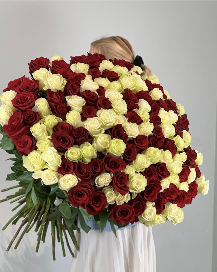 101 роза микс