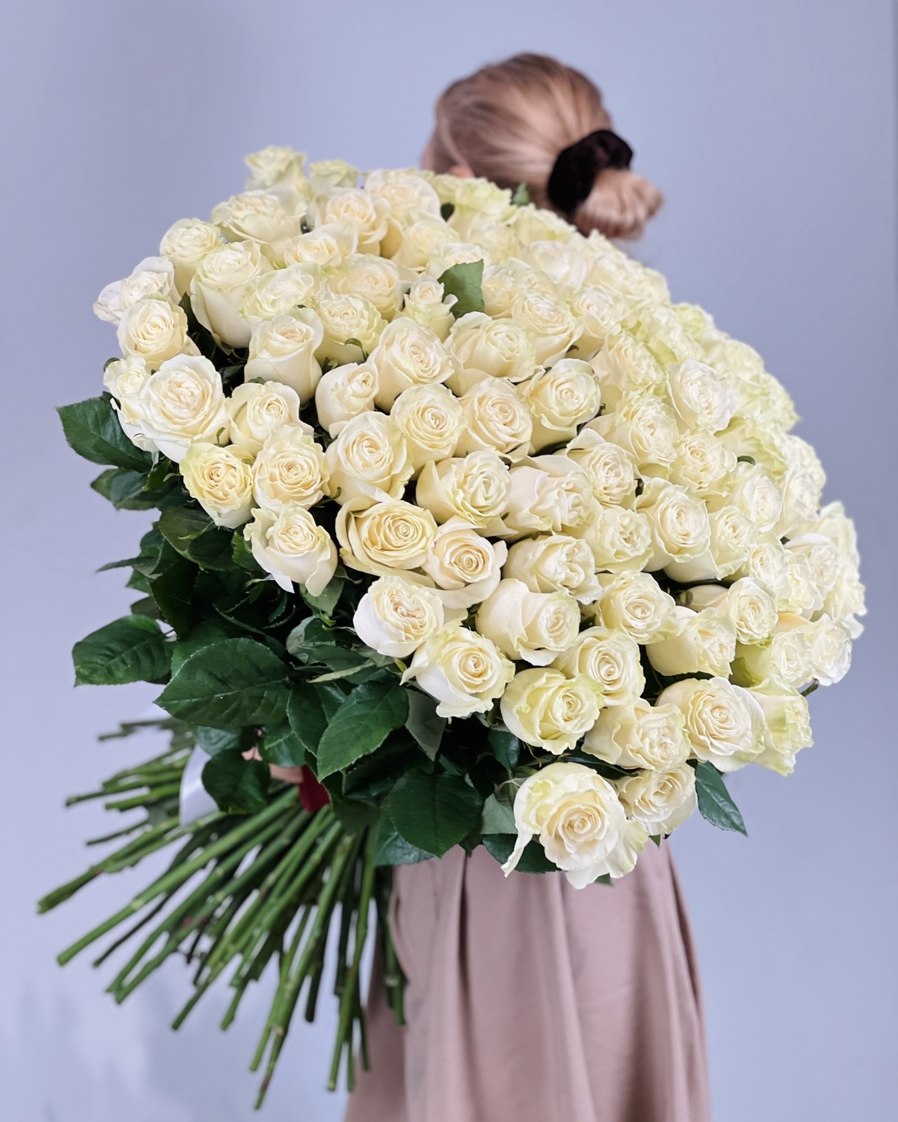 101 белая роза - вид спереди