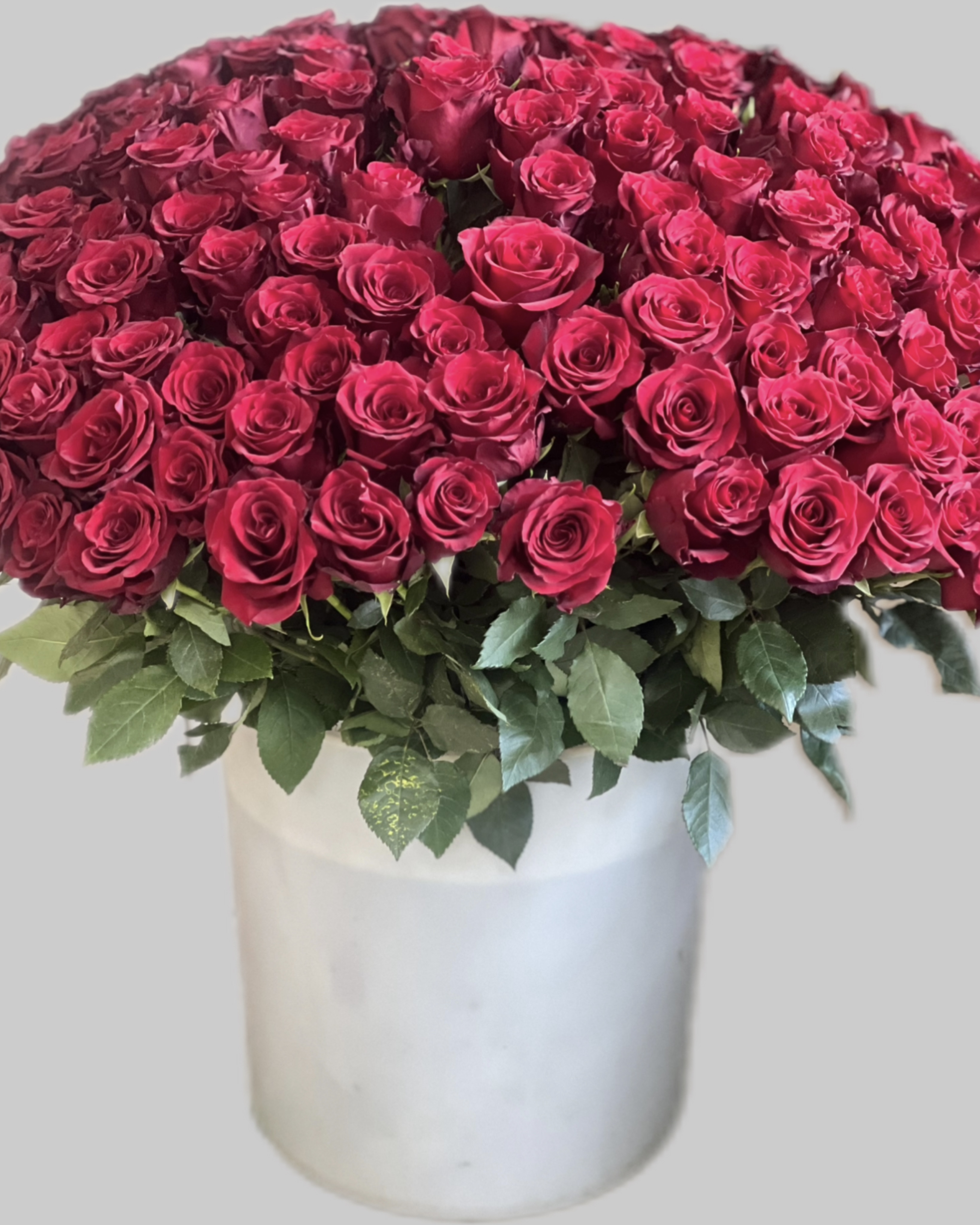 151 красная роза - длина 80 см