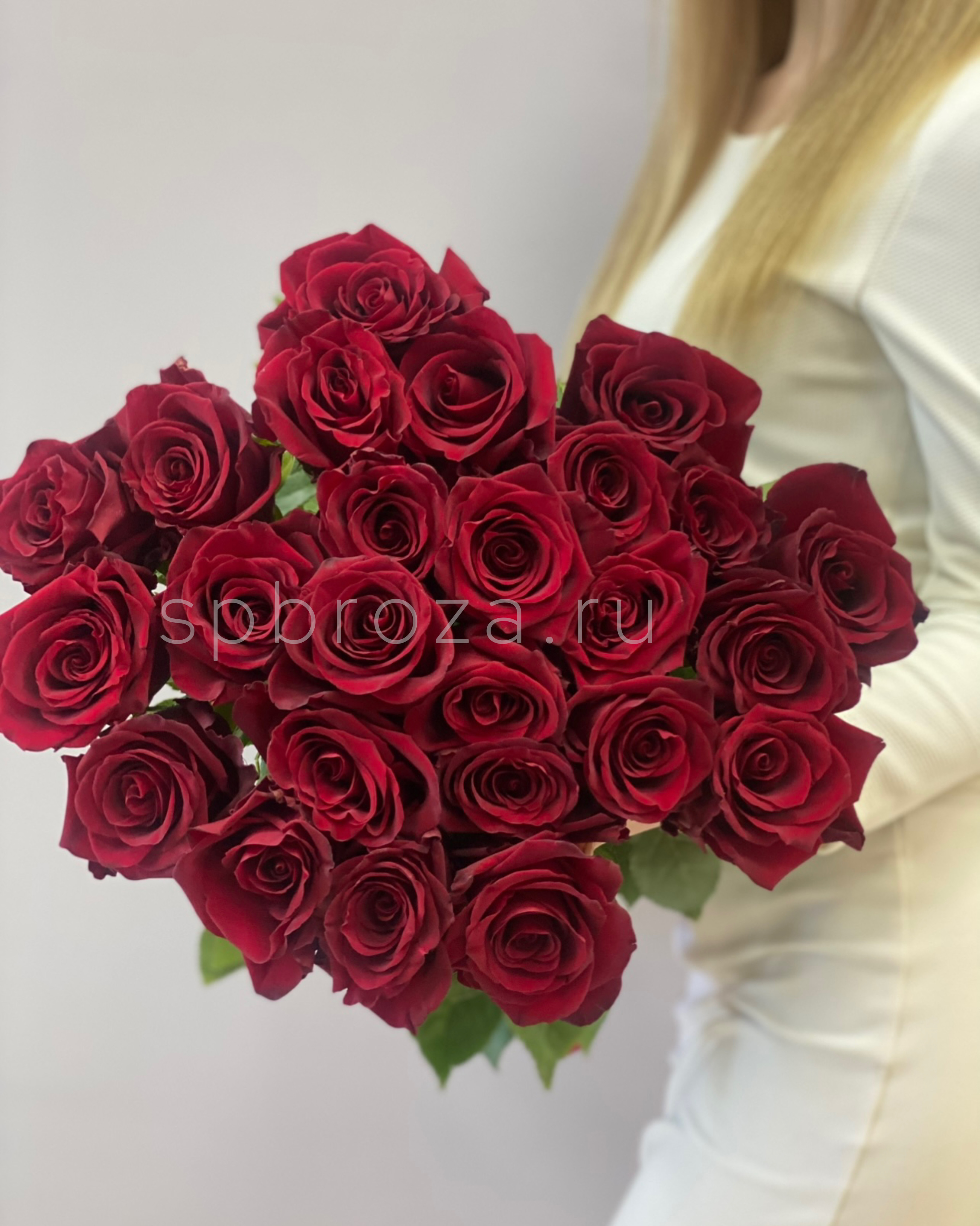 Букет 25 бордовых роз Explorer фронтальный вид