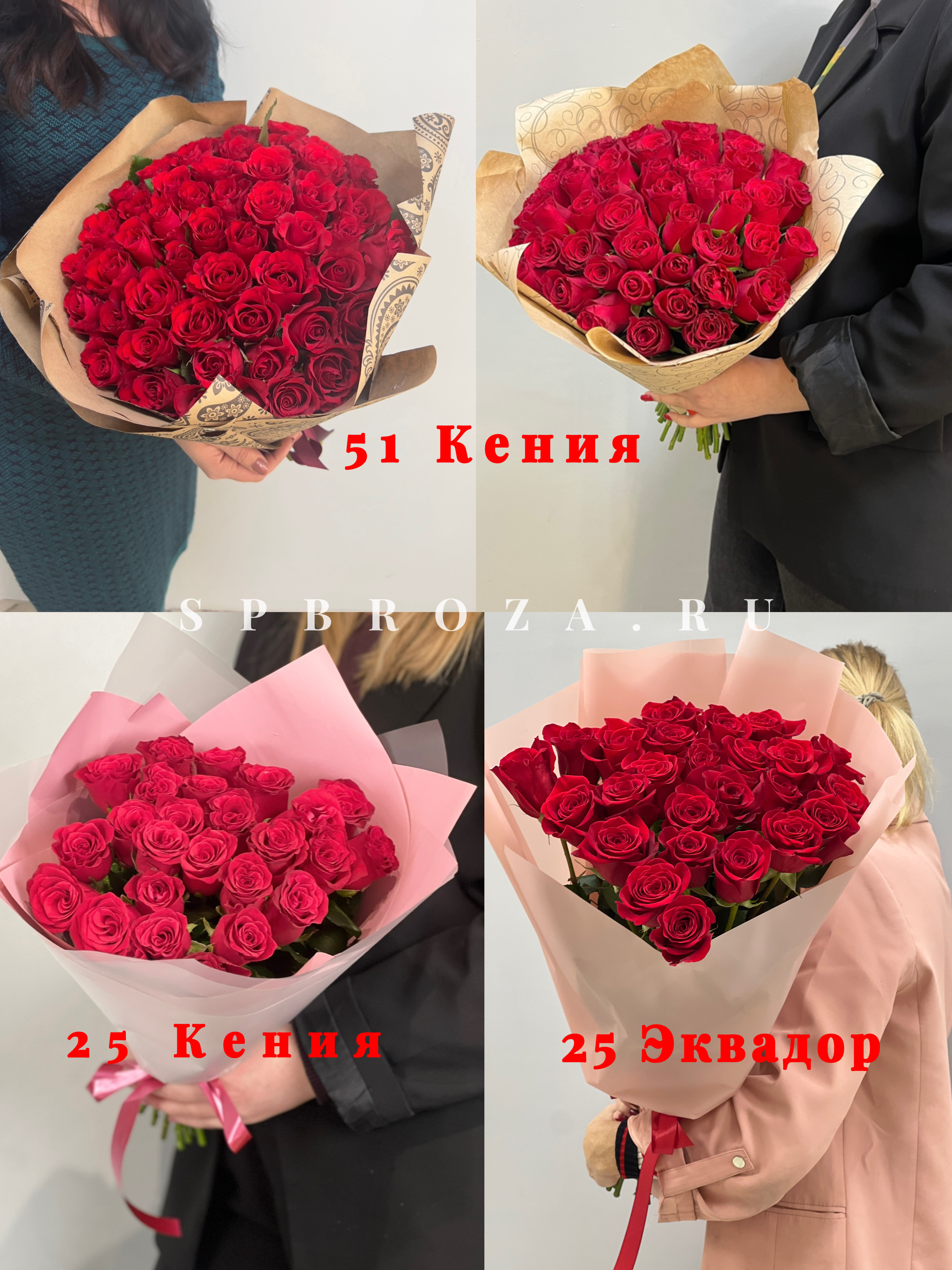 Сравнение розы Freedom с обычной розой