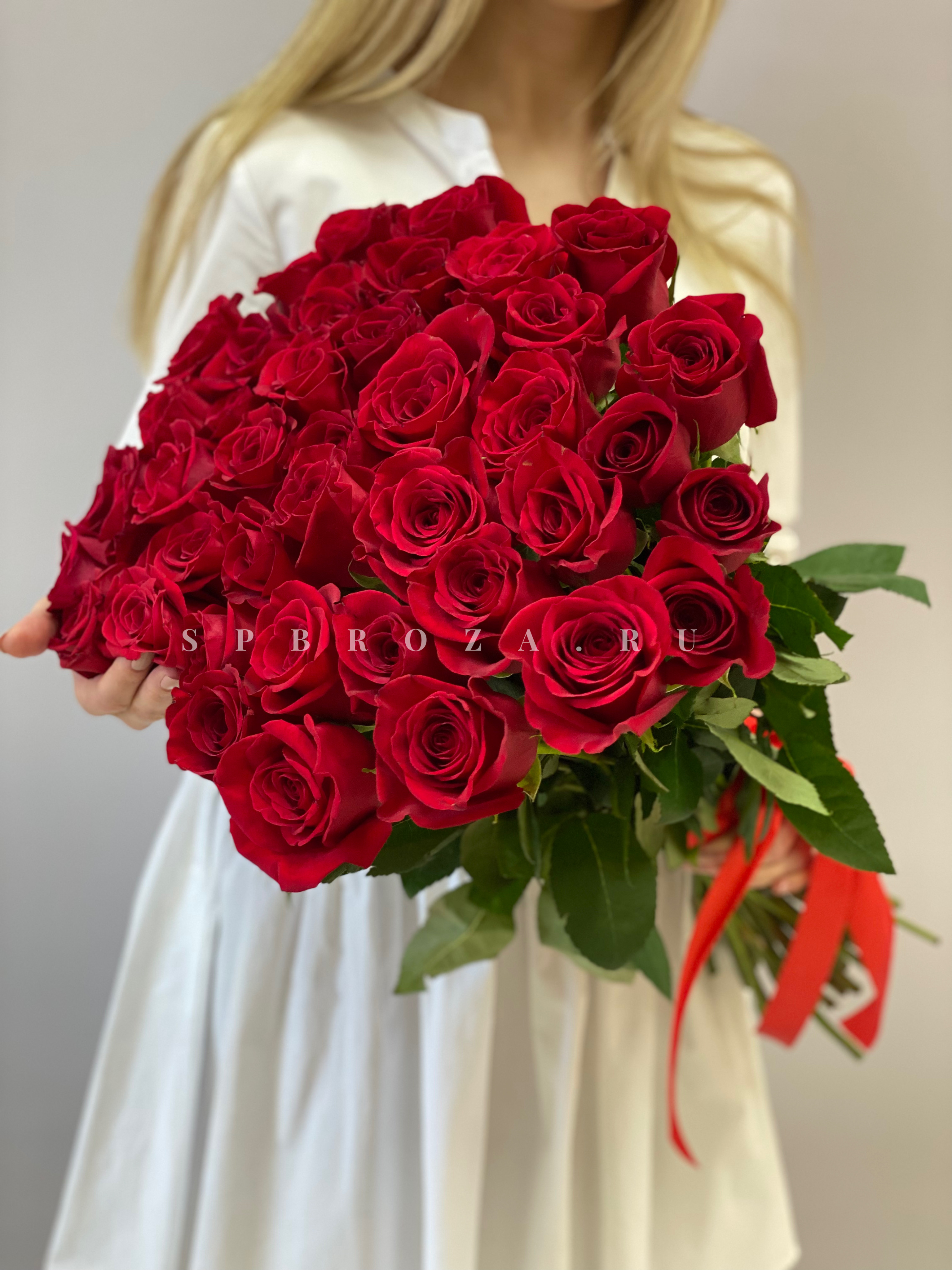 41 красная роза Фридом общий вид