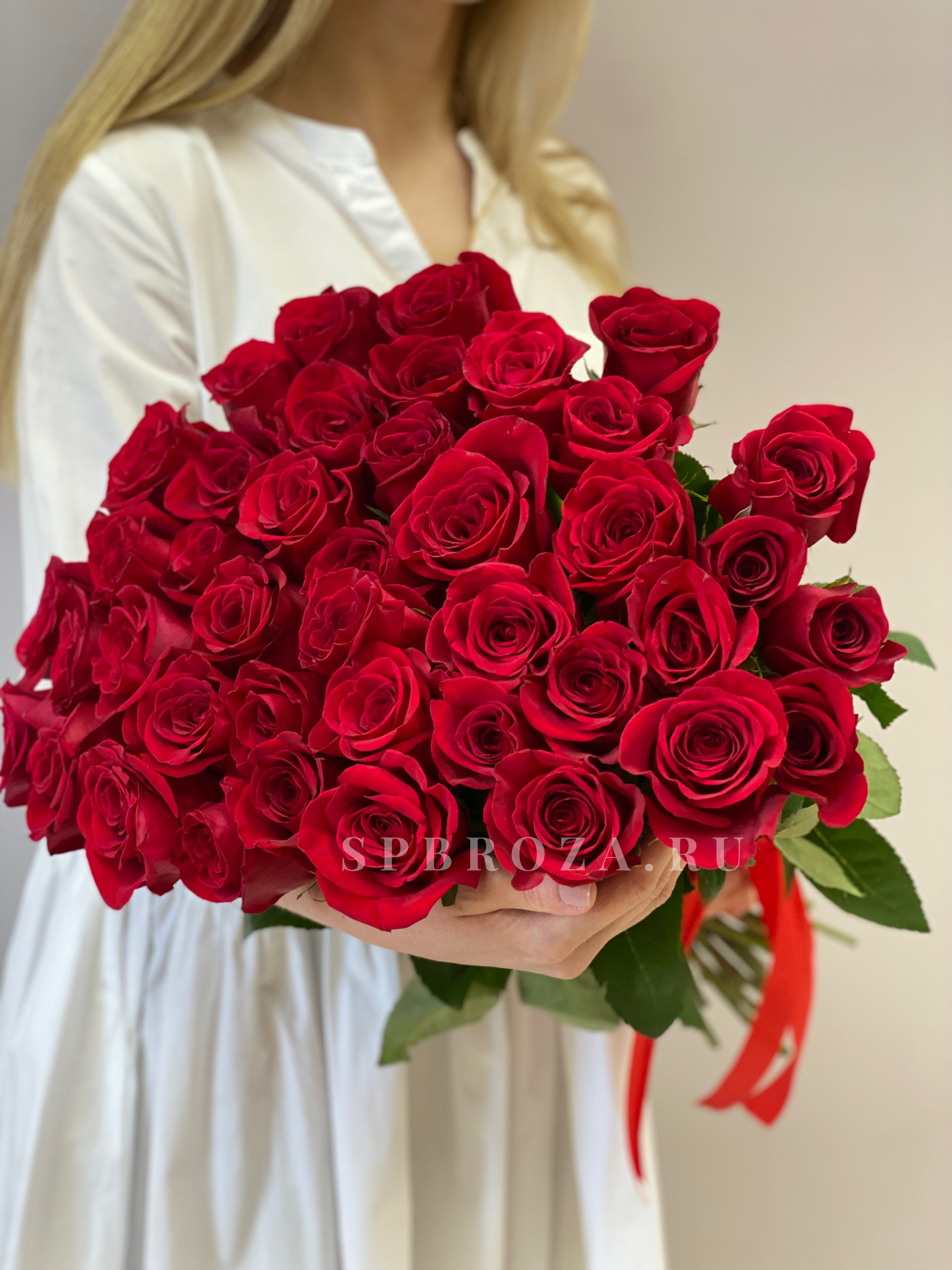 Крупный план бутона красной розы Фридом