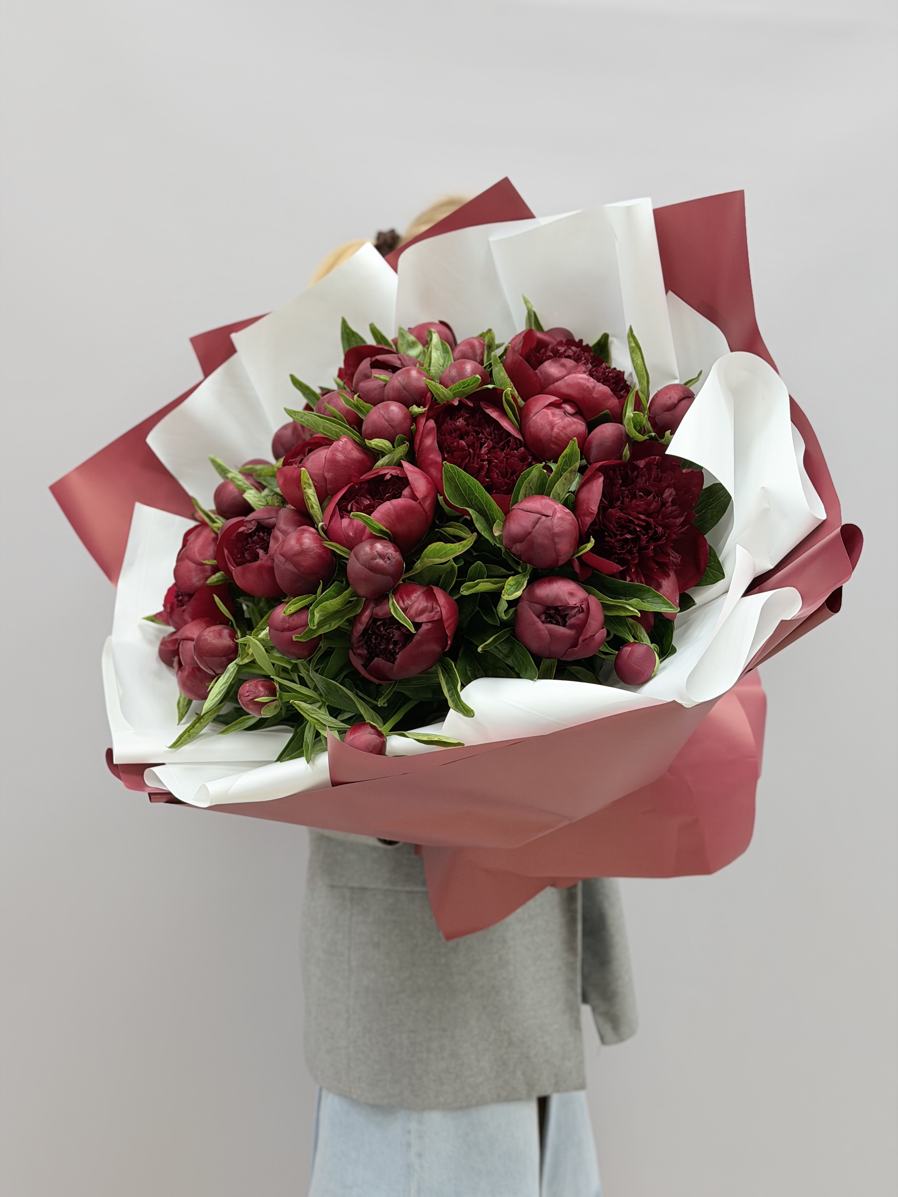 35 красных пионов Red Charm общий вид