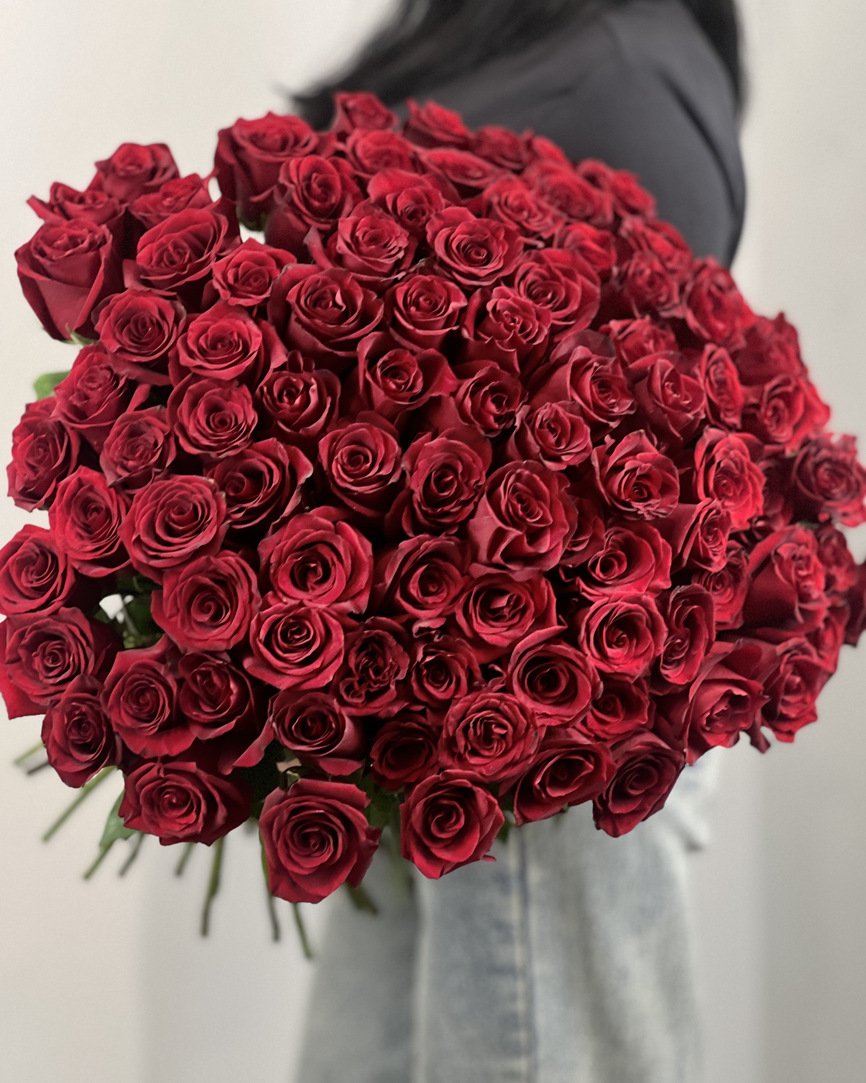 101 роза Эксплорер - фронтальный вид