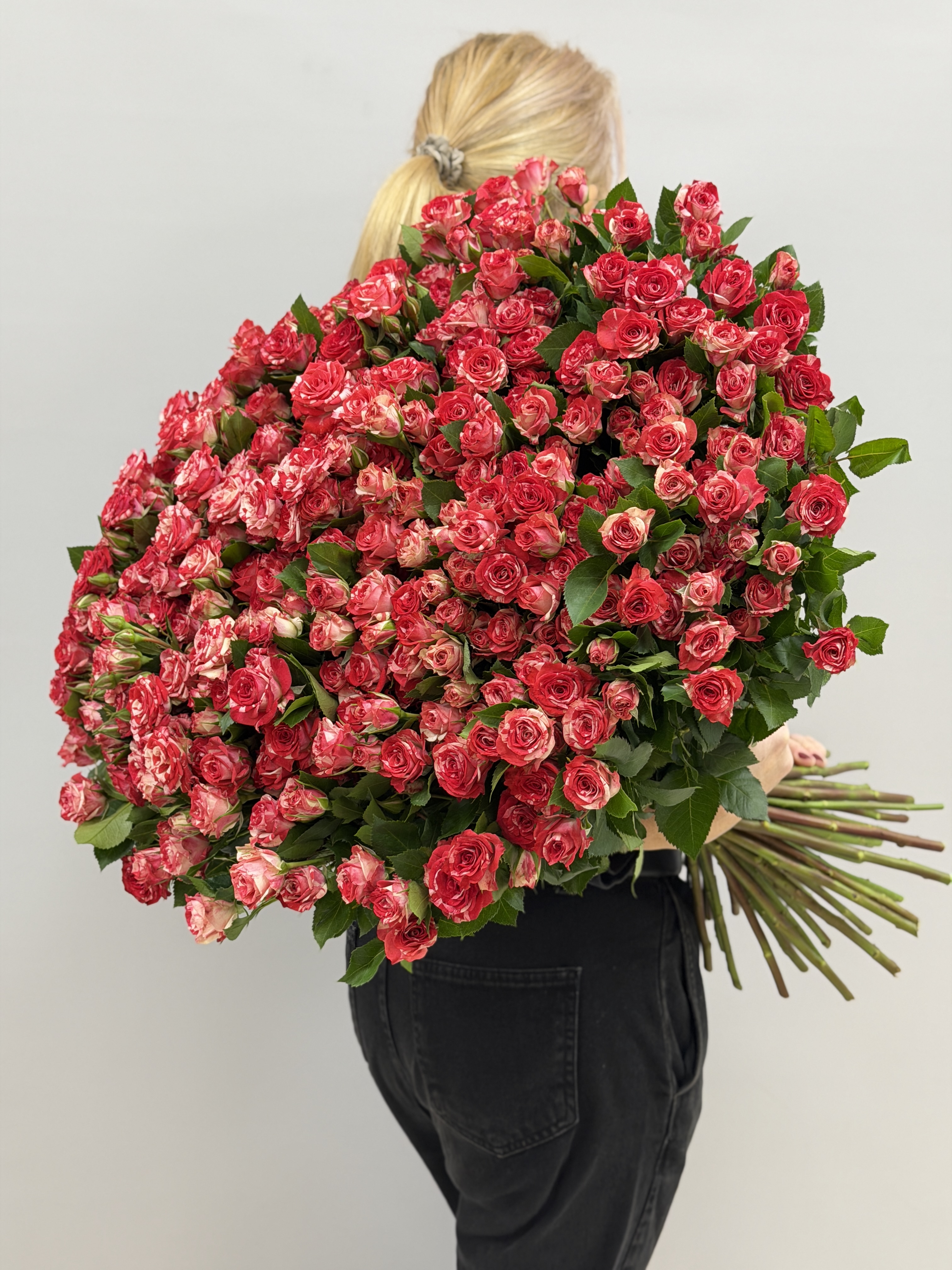 Детали бутонов розы Fireworks, белые искры