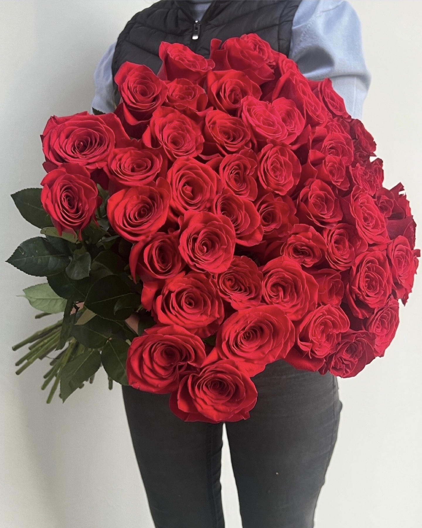 Крупный план бутонов эквадорских роз Freedom