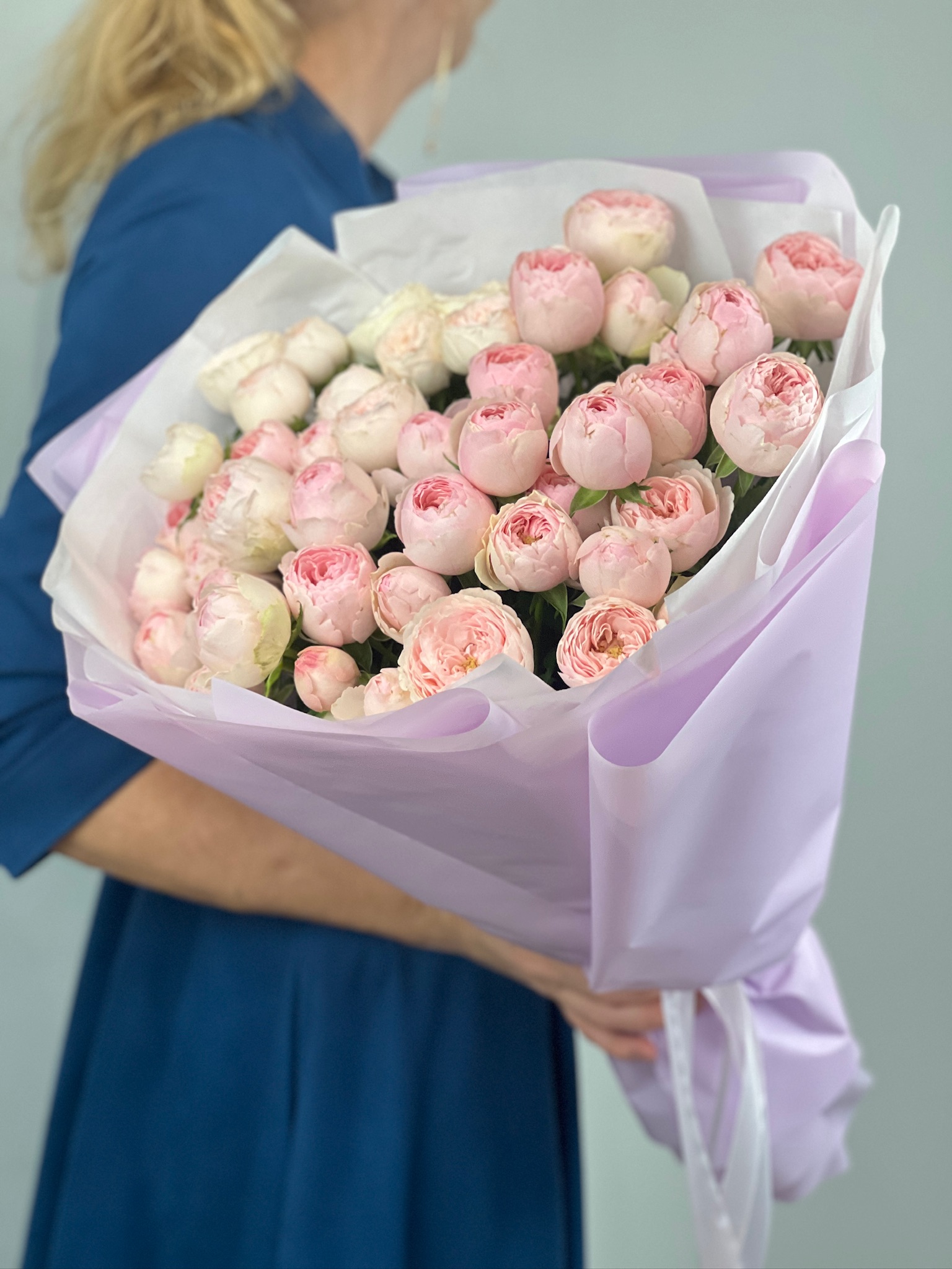 15 пионовидных роз Мэнсфилд Парк общий вид