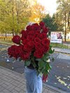 высокие-розы