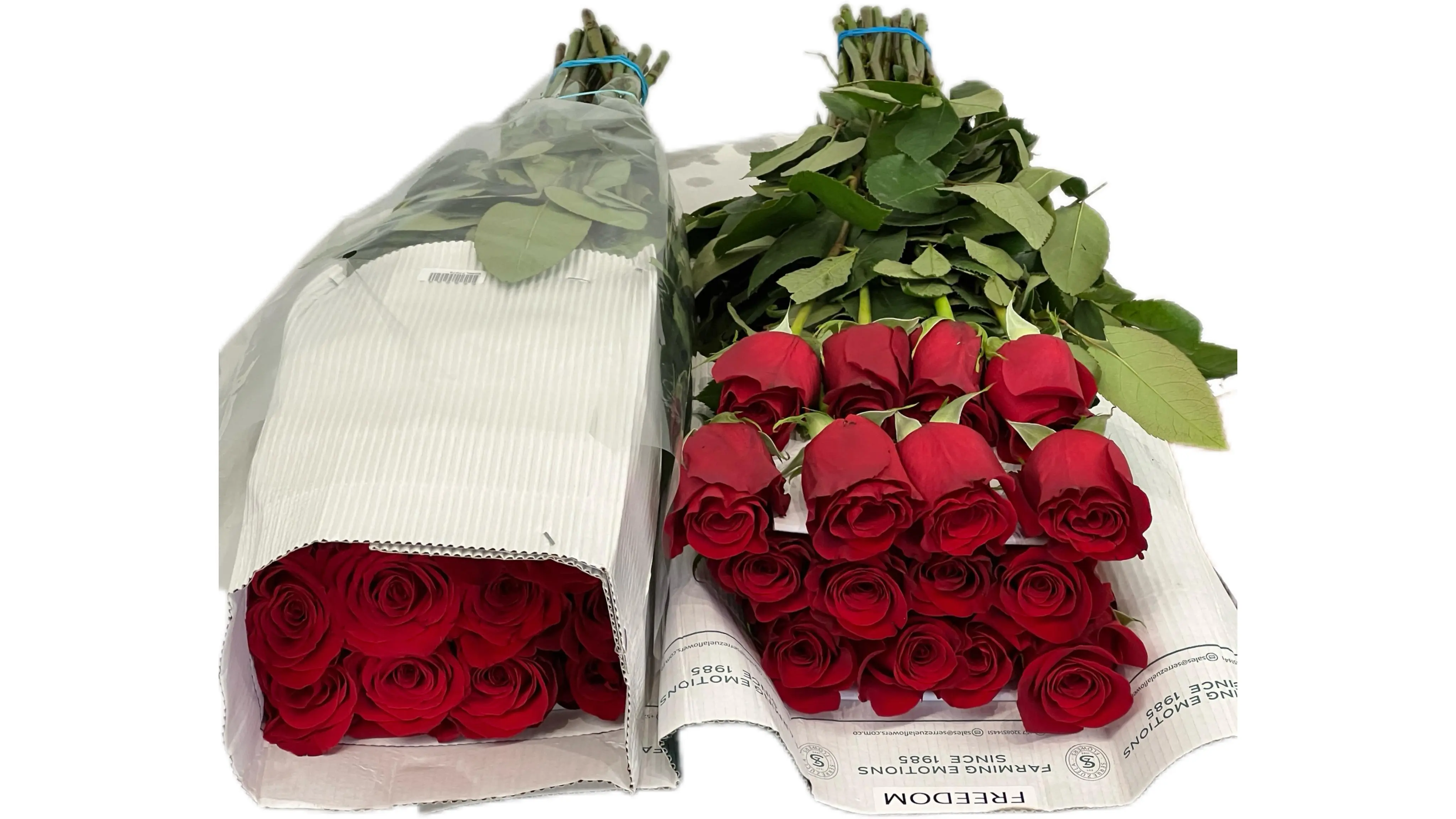 Розы в банче на складе СПб