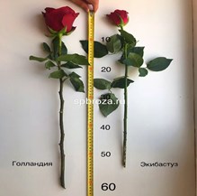 Упаковка букета